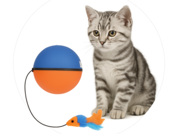 توپ هوشمند متحرک گربه با عروسک موش