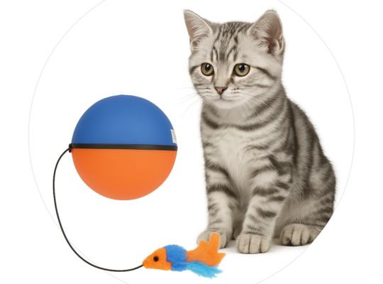 توپ هوشمند متحرک گربه با عروسک موش